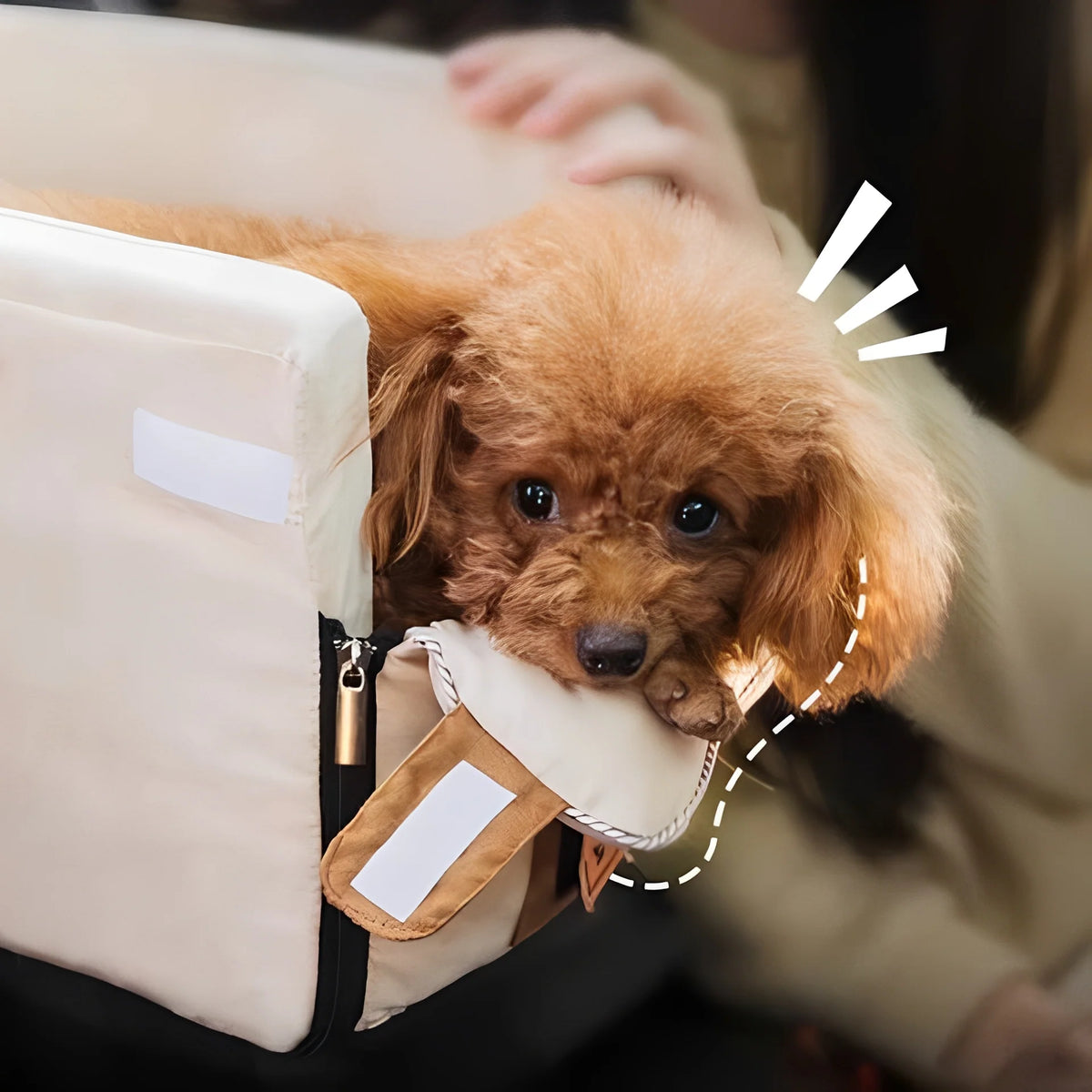 Small Pet Car Seat Armrest-Mount Padded Zippered Top