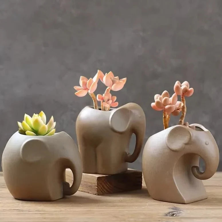 Succulent Planter Handcrafted Porous Ceramic