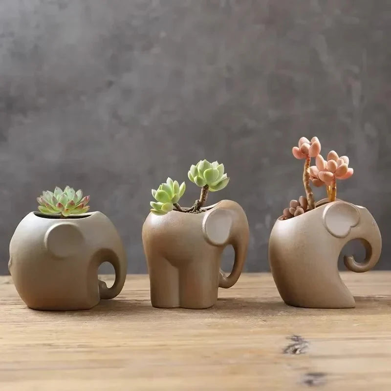 Succulent Planter Handcrafted Porous Ceramic