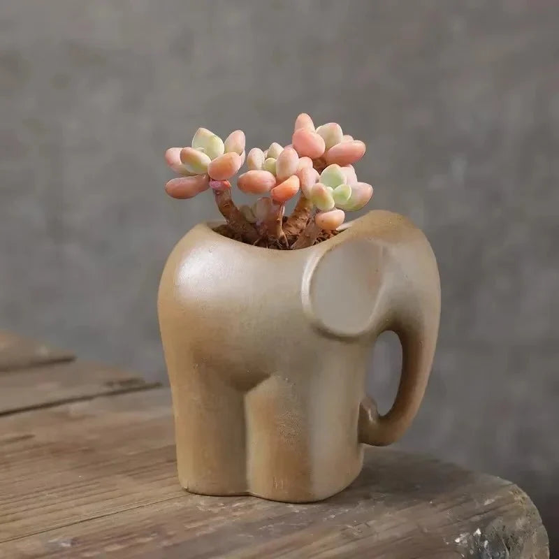 Succulent Planter Handcrafted Porous Ceramic