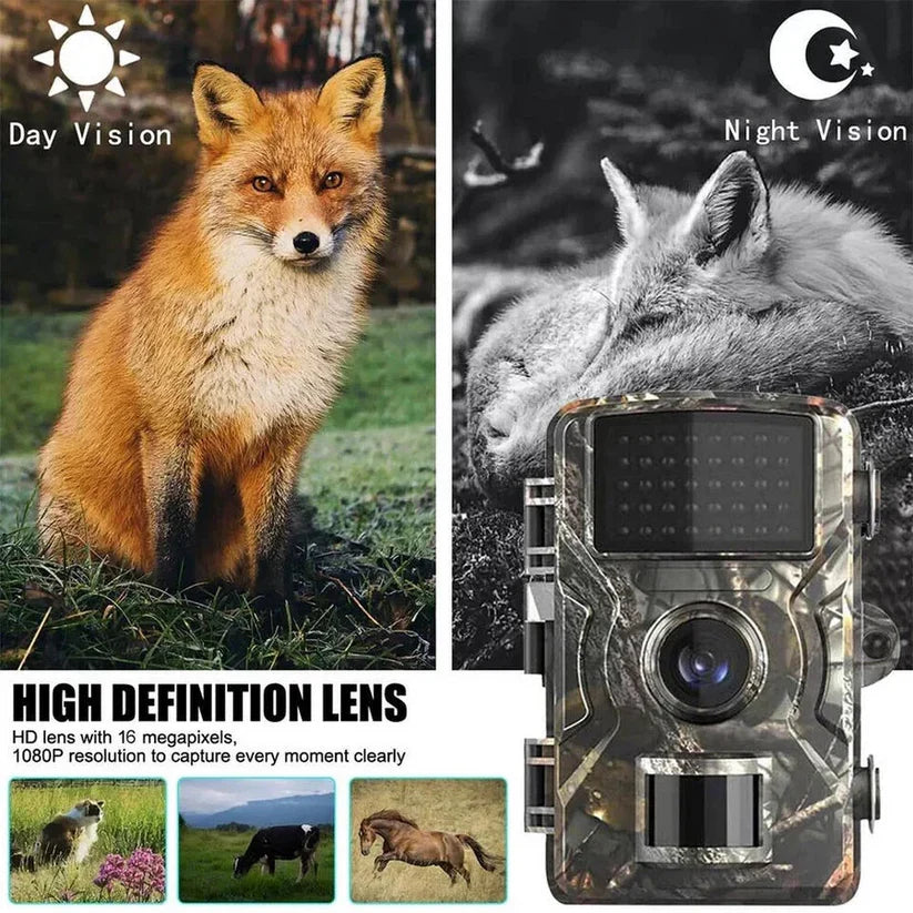 Trail Camera 16MP 1080P No Glow Infrared