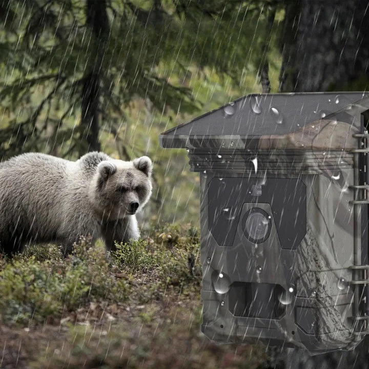 Trail Camera Solar-Powered 4K & Night Vision