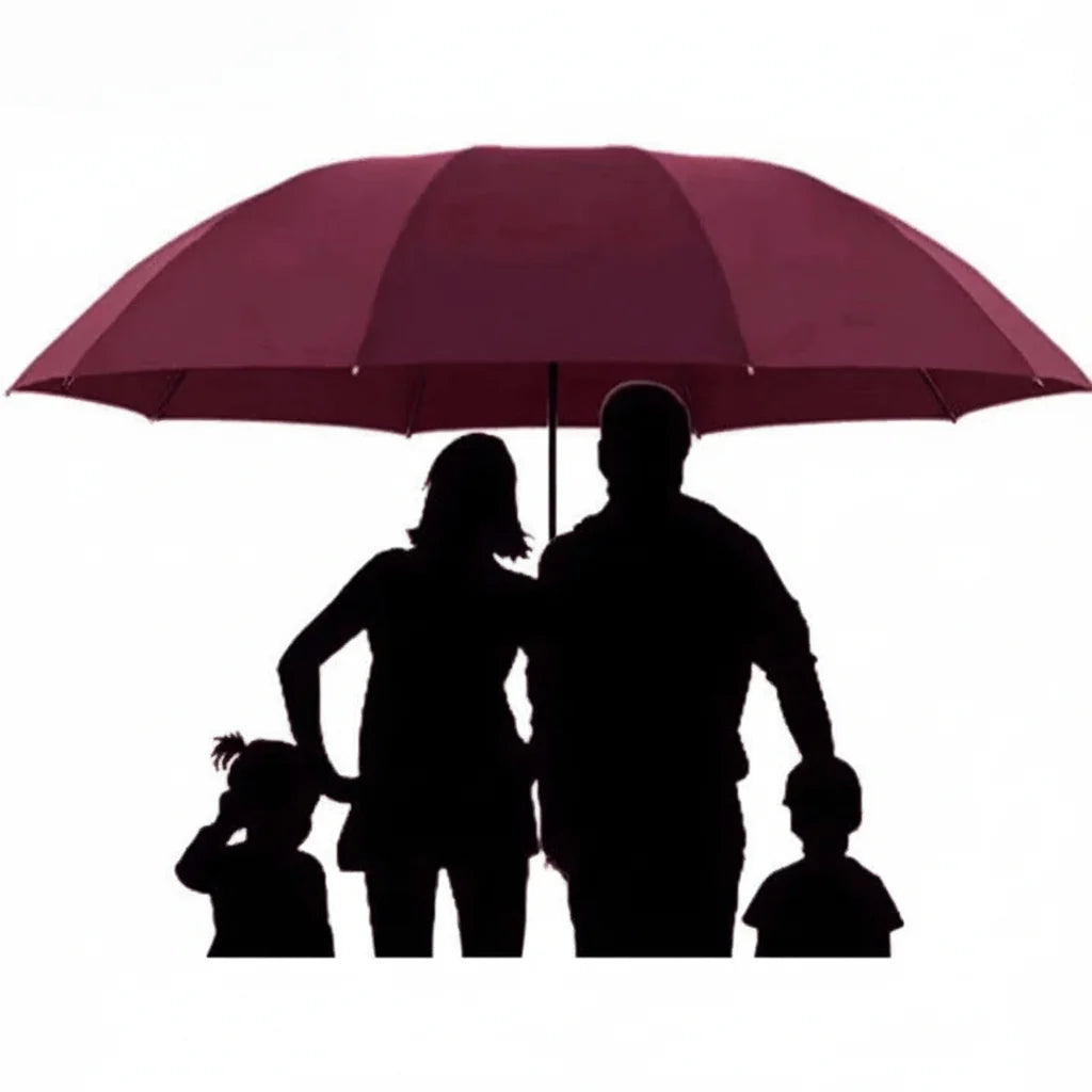 Umbrella Auto Open 51-Inch Canopy & Windproof Frame
